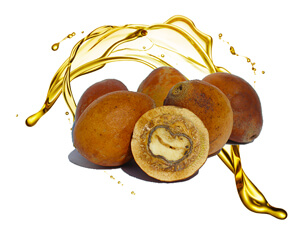 African-Manketti-Oil African Manketti oil Symbol