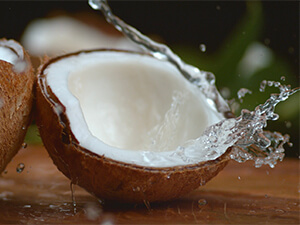 Nước dừa coconut with water inside