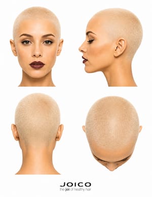 head-sheet-cover PDF Cover