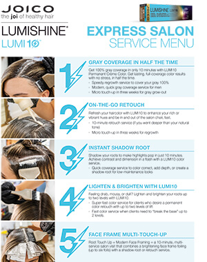 lumishine-lumi10-express-salon-service-menu-cover Express Salon service menu