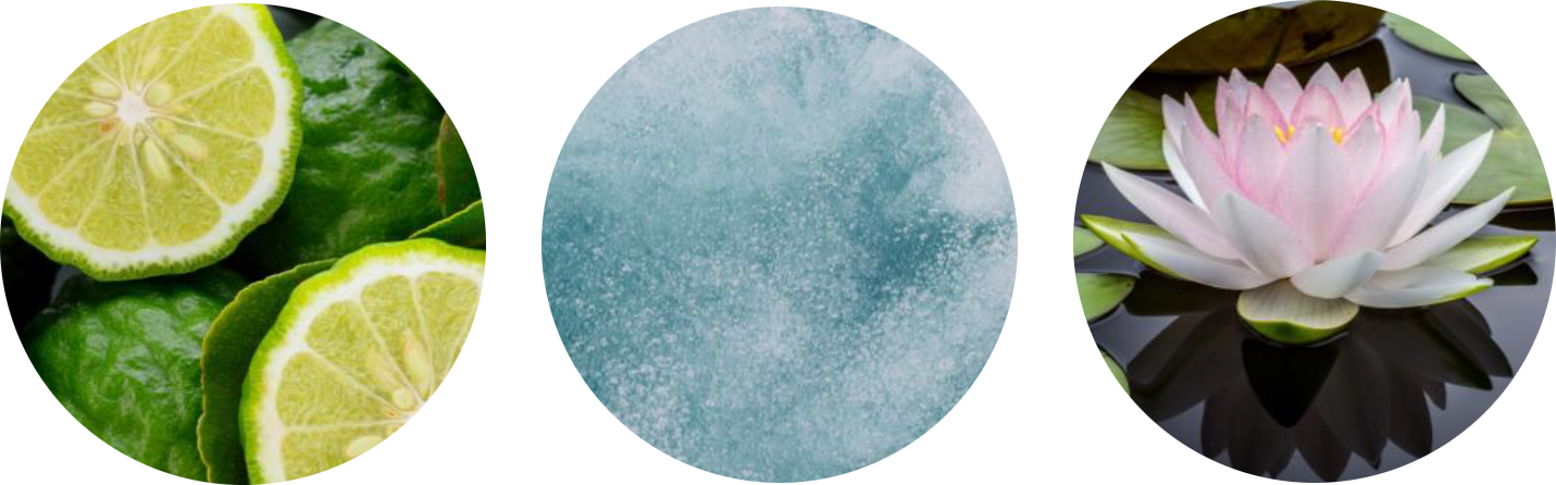 Cam Bergamot tươi mát, Aldehyde mát lạnh, Hoa súng
